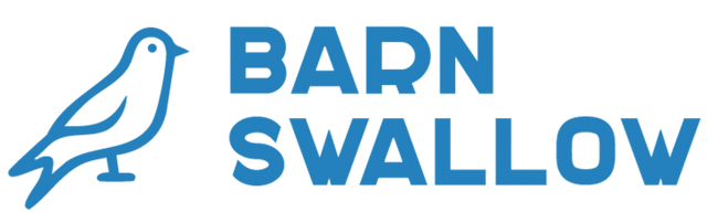Barn Swallow